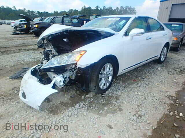 2010 LEXUS ES350 - VIN: JTHBK1EG6A2405959 - Фото 2