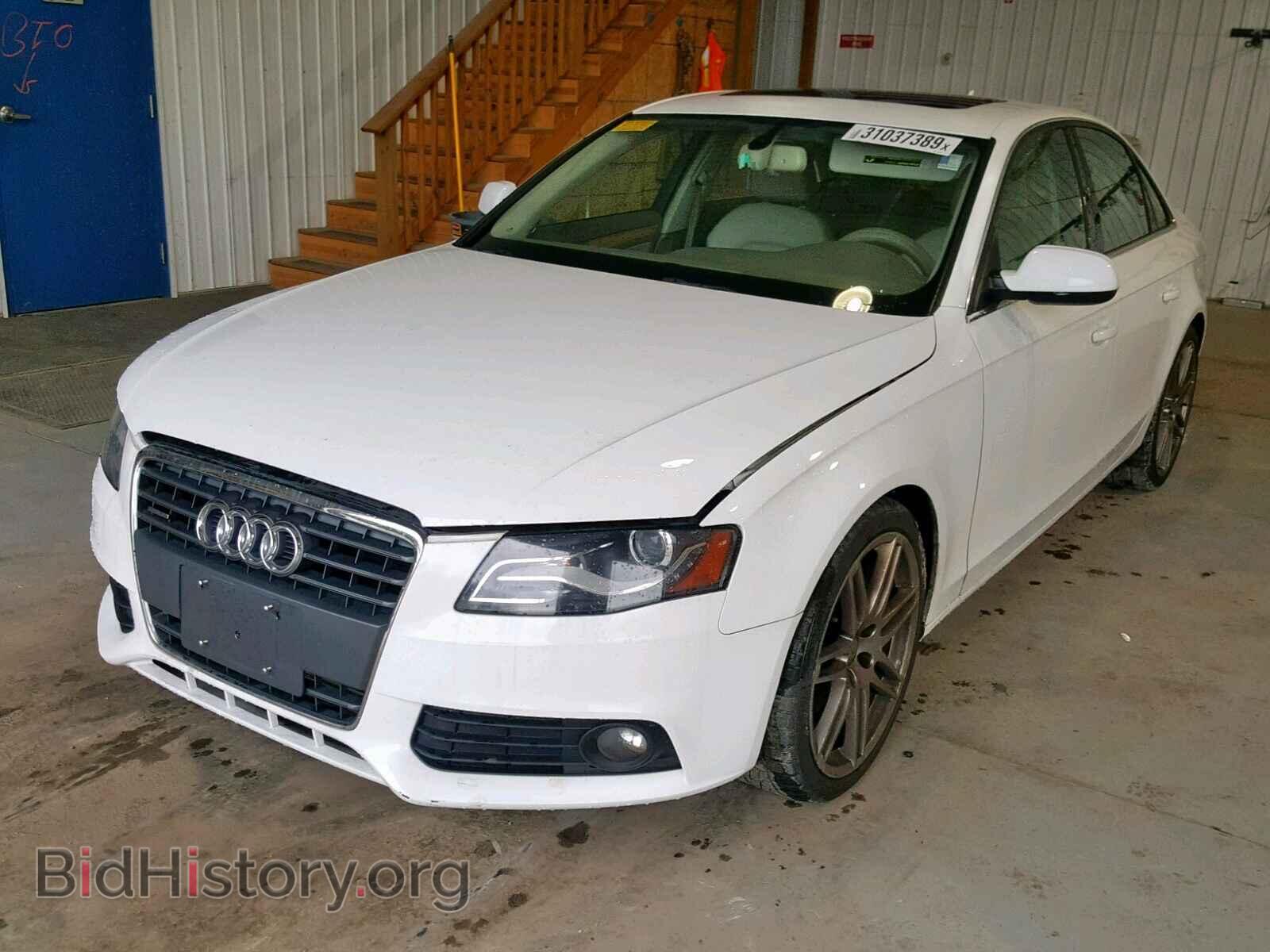 2010 AUDI A4 - VIN: WAUKFAFL5AN042387 - Фото 2