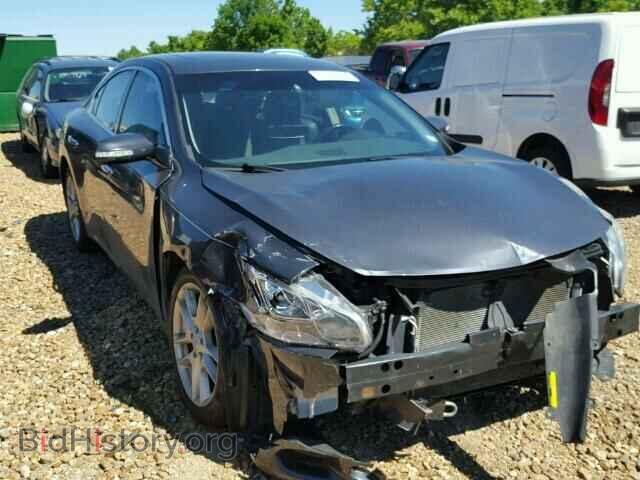 Photo 1N4AA5AP0AC830297 - NISSAN MAXIMA 2010