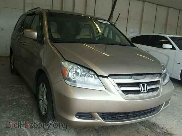 Photo 5FNRL38465B425013 - HONDA ODYSSEY 2005