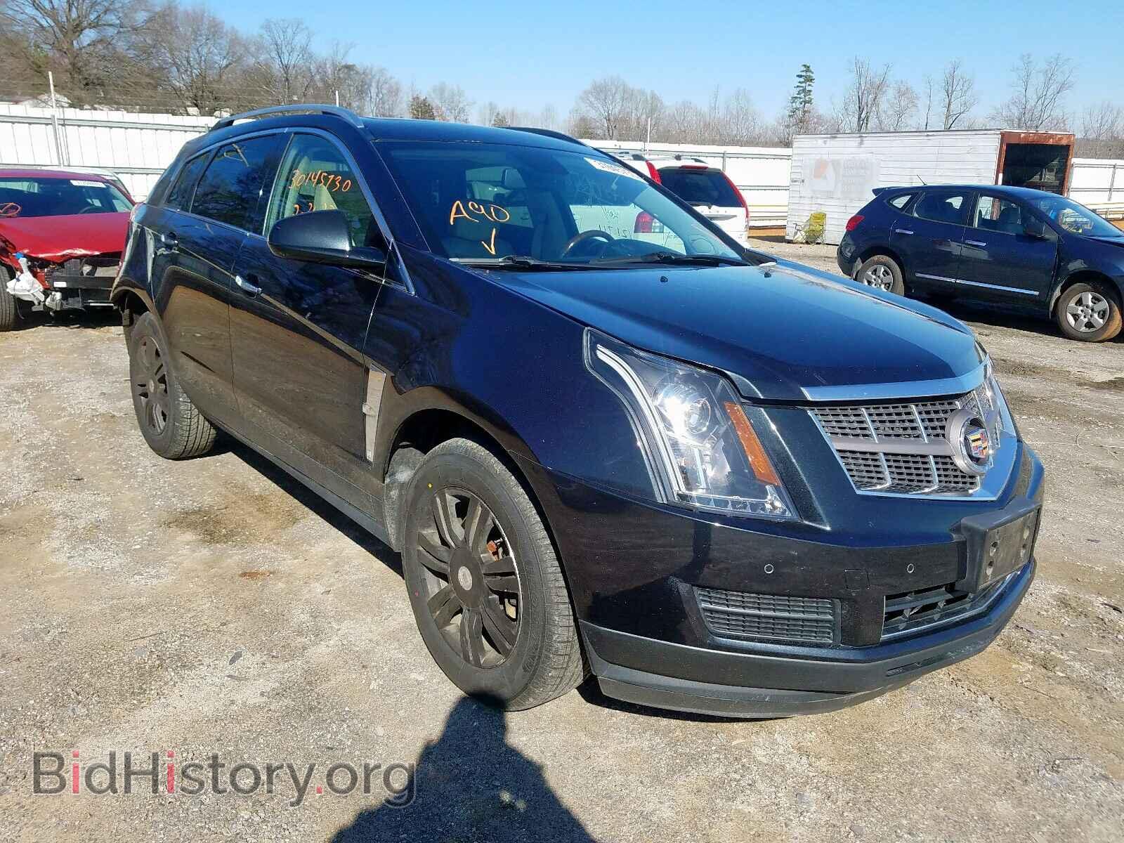 Photo 3GYFNAEY6BS622057 - CADILLAC SRX LUXURY 2011