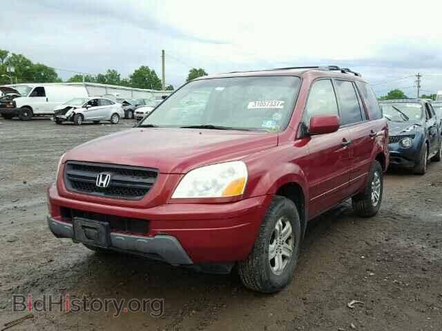 2005 HONDA PILOT - VIN: 5FNYF18585B044666 - Фото 2