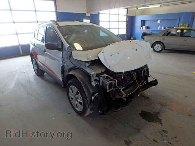 Фотография 1FMCU0F79DUB09184 - FORD ESCAPE 2013