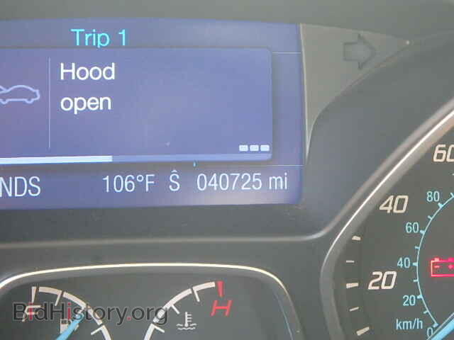 2013 FORD FOCUS - VIN: 1FADP3K22DL106800 - Фото 8