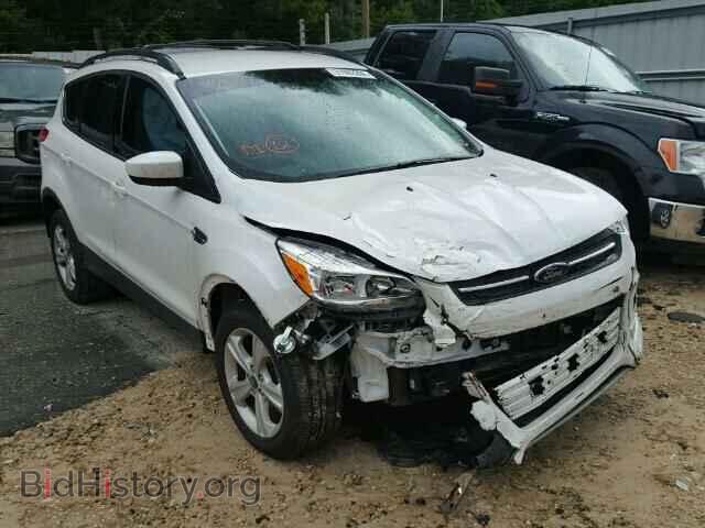 Фотография 1FMCU0GX5DUC20068 - FORD ESCAPE 2013