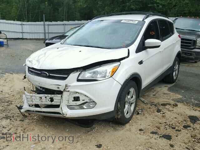 2013 FORD ESCAPE - VIN: 1FMCU0GX5DUC20068 - Фото 2
