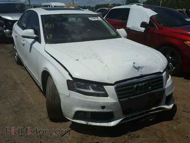 Фотография WAULF78K09N038366 - AUDI A4 2009