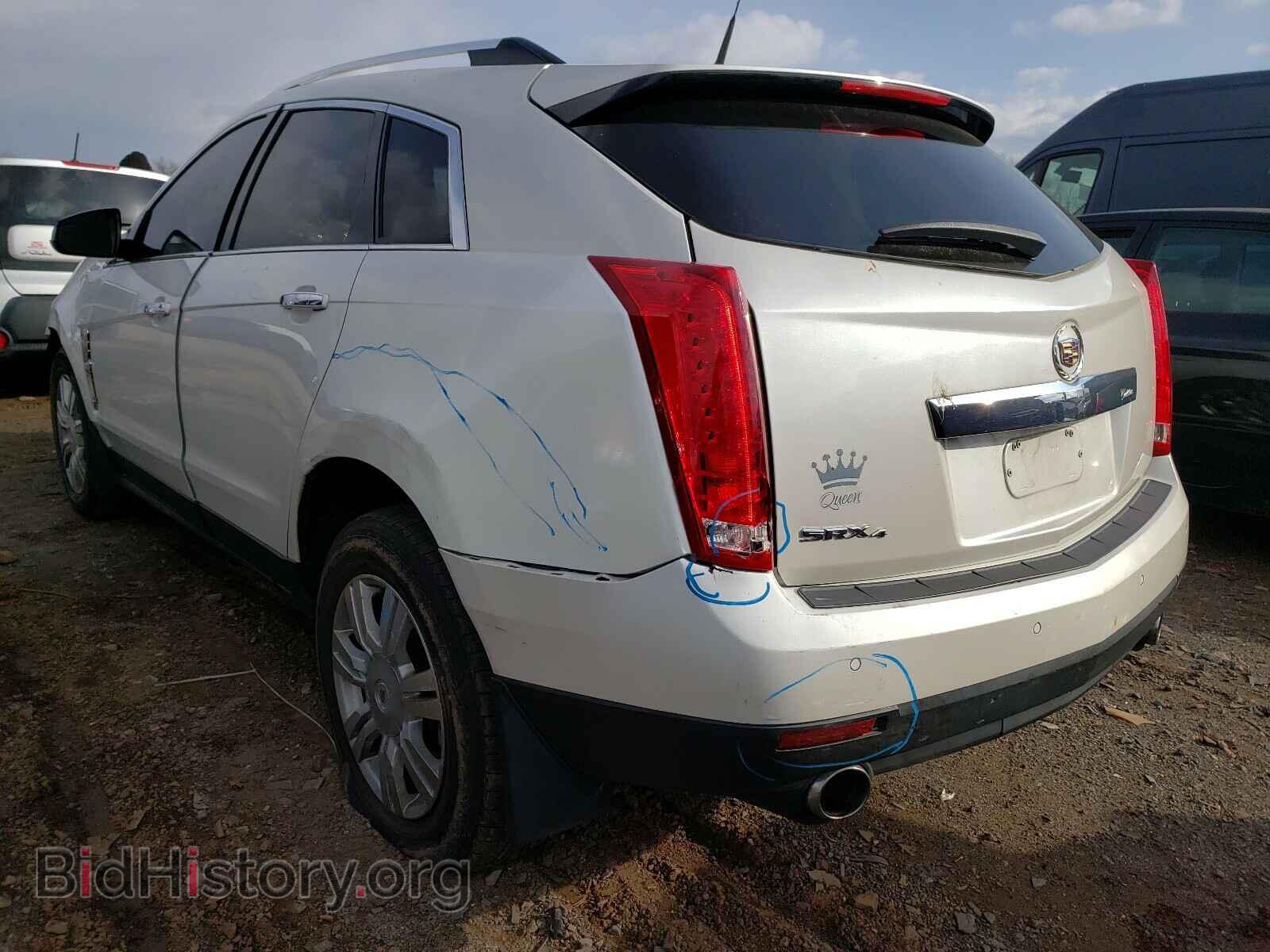 2010 CADILLAC SRX - VIN: 3GYFNDEY1AS629045 - Фото 3