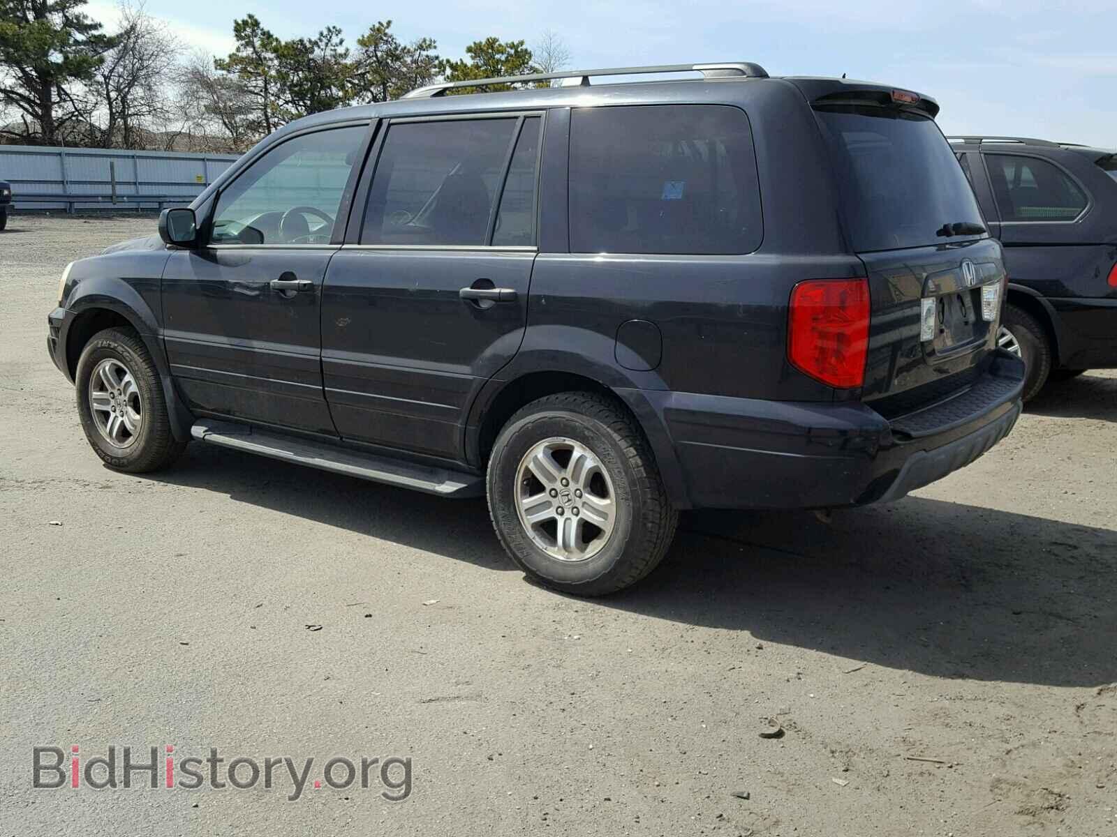 2005 HONDA PILOT - VIN: 2HKYF18755H559563 - Фото 3