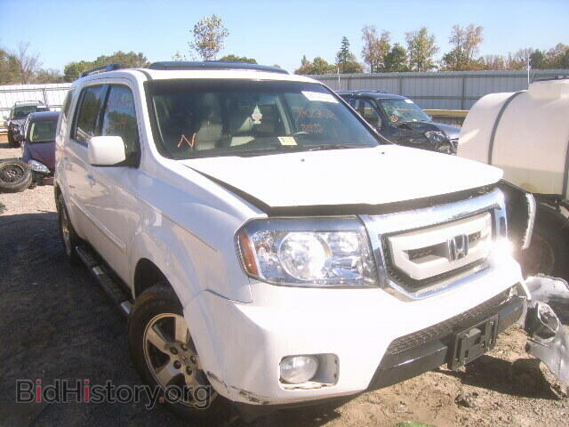 Фотография 5FNYF4H51BB059393 - HONDA PILOT 2011