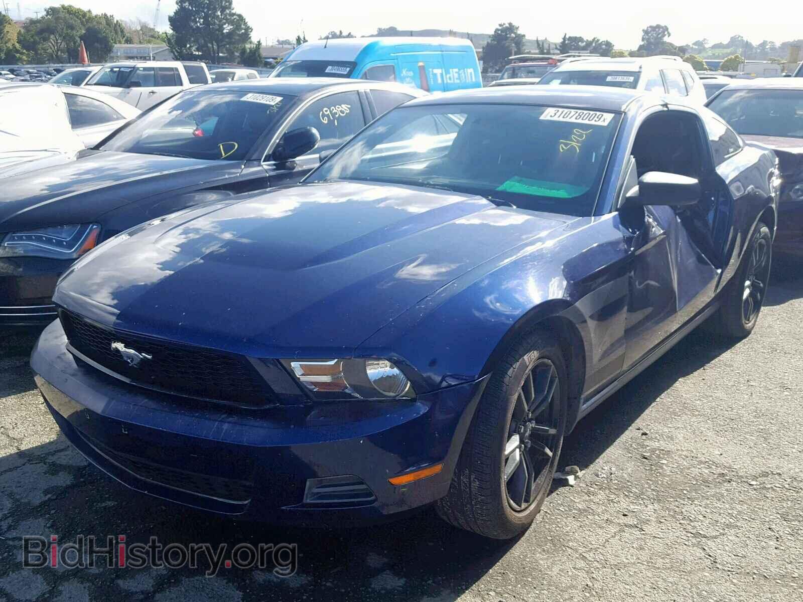 2011 FORD MUSTANG - VIN: 1ZVBP8AM0B5138841 - Фото 2