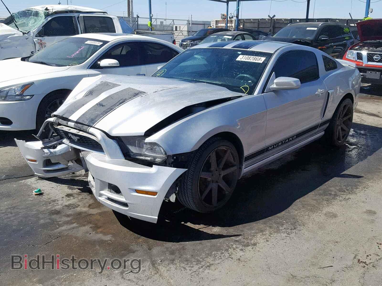 2013 FORD MUSTANG - VIN: 1ZVBP8AM4D5256944 - Фото 2
