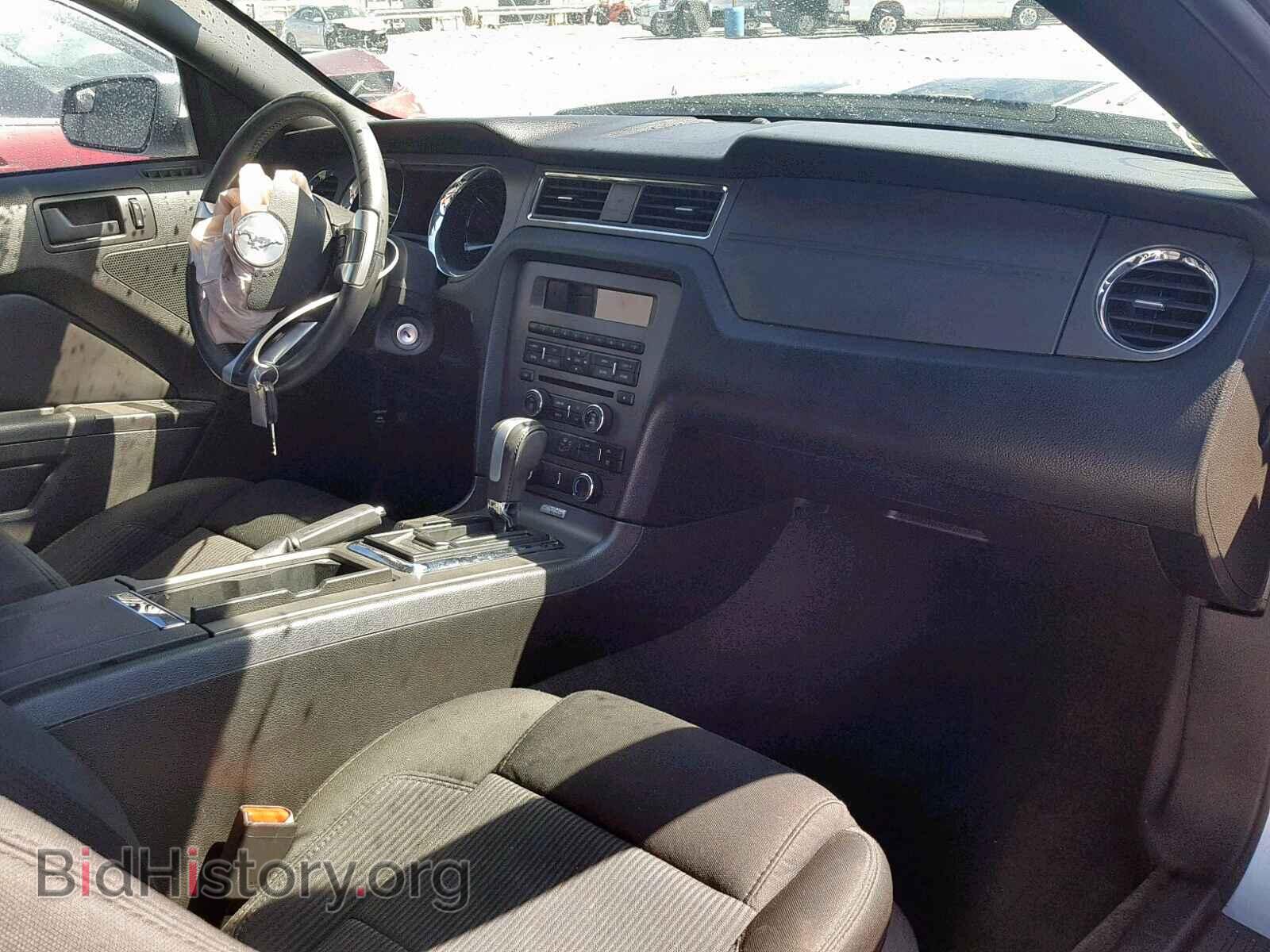 2013 FORD MUSTANG - VIN: 1ZVBP8AM4D5256944 - Фото 9