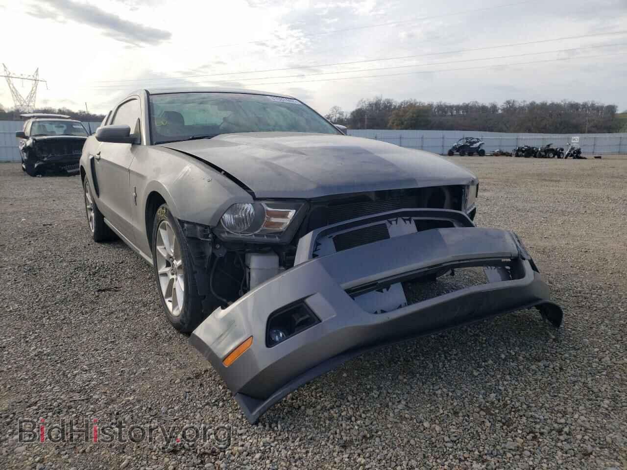 Photo 1ZVBP8AM3B5137148 - FORD MUSTANG 2011