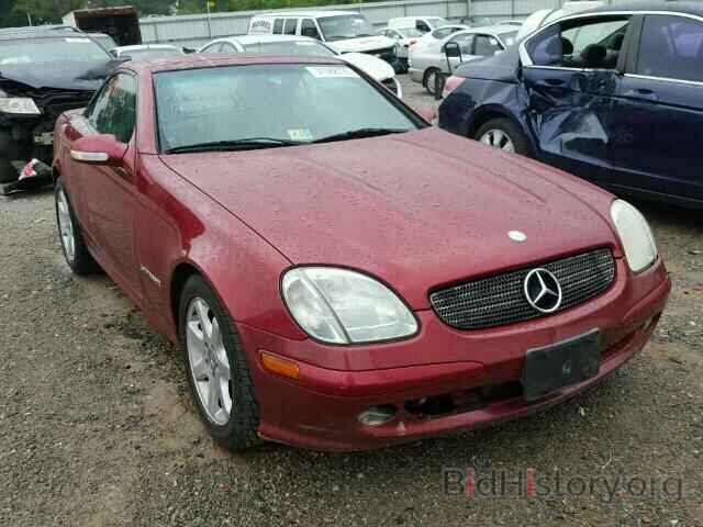 Photo WDBKK49F21F192892 - MERCEDES-BENZ SLK230 2001