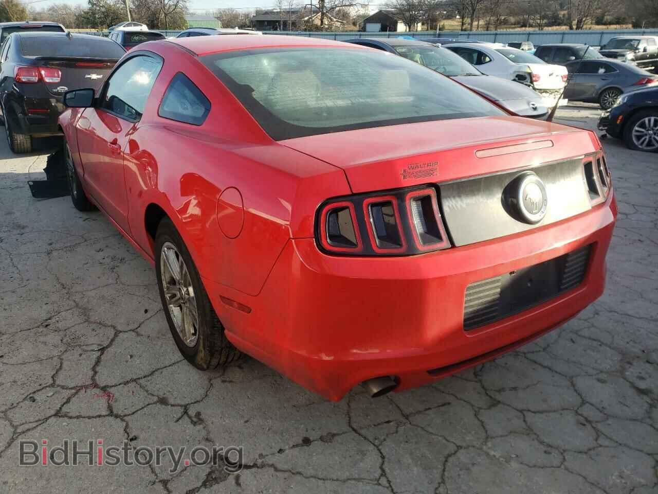 2014 FORD MUSTANG - VIN: 1ZVBP8AM0E5229225 - Фото 3