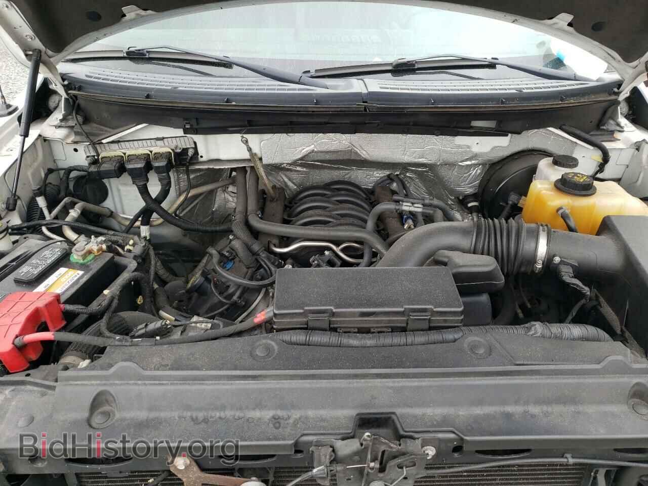 2013 FORD F150 - VIN: 1FTNF1CF3DKF01064 - Фото 7