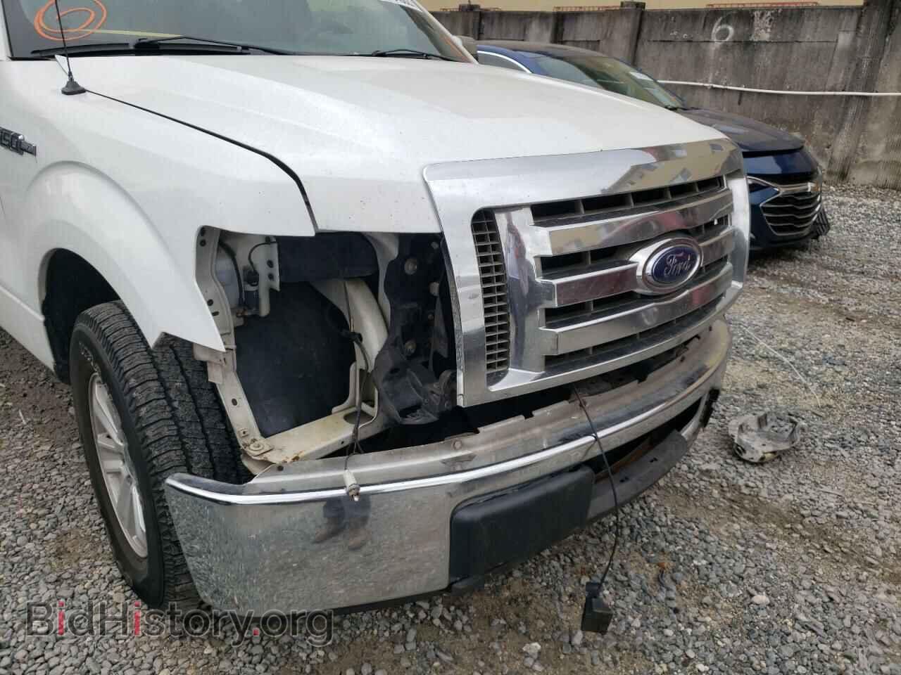 2013 FORD F150 - VIN: 1FTNF1CF3DKF01064 - Фото 9
