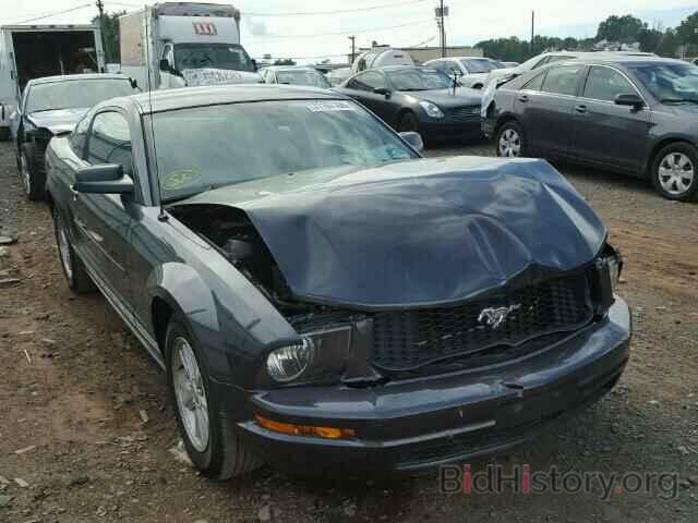 Photo 1ZVHT80NX85206961 - FORD MUSTANG 2008