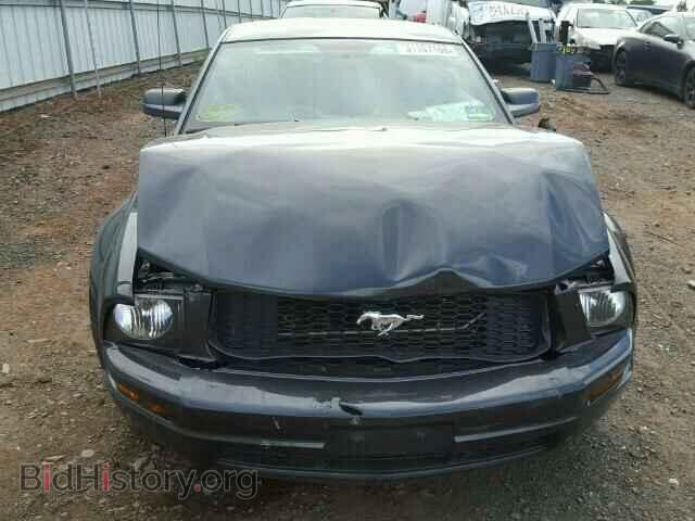 2008 FORD MUSTANG - VIN: 1ZVHT80NX85206961 - Фото 9