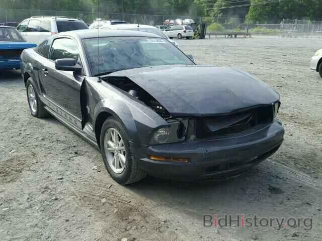 Photo 1ZVHT80N695136554 - FORD MUSTANG 2009