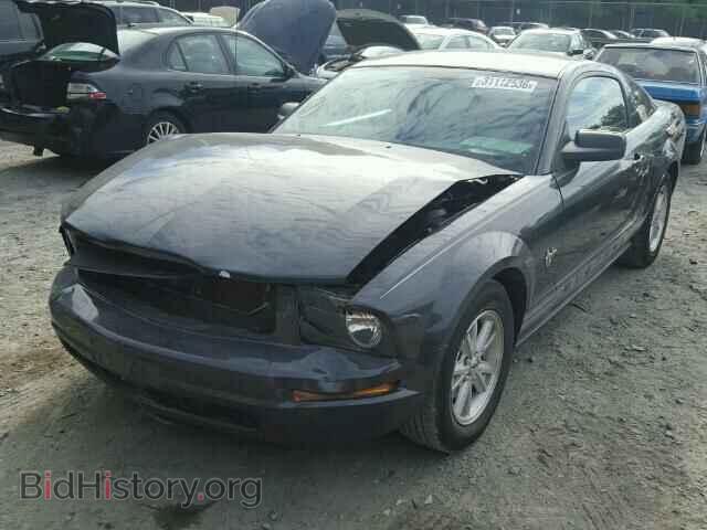 2009 FORD MUSTANG - VIN: 1ZVHT80N695136554 - Фото 2