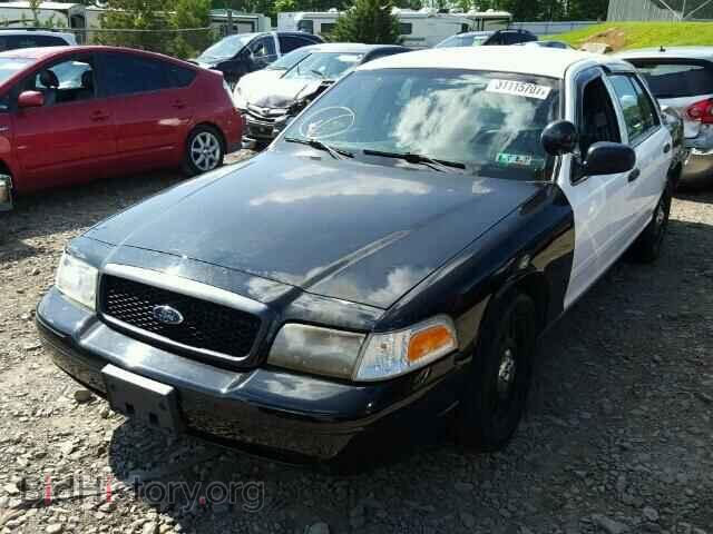 2011 FORD CROWN VIC - VIN: 2FABP7BV9BX158093 - Фото 2