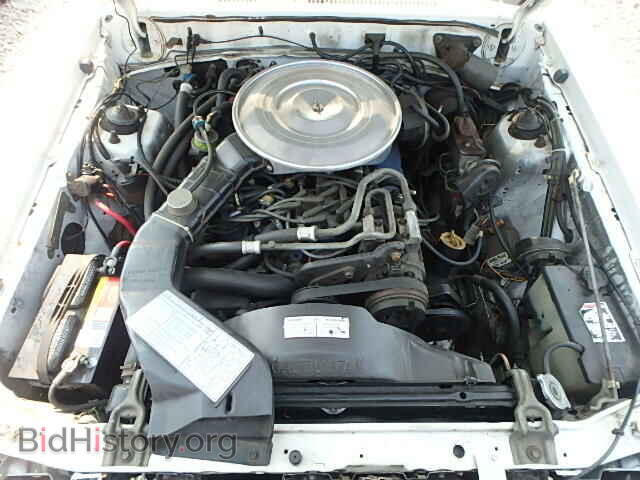 1982 FORD TBIRD - VIN: 1FABP42DXCH143951 - Фото 7