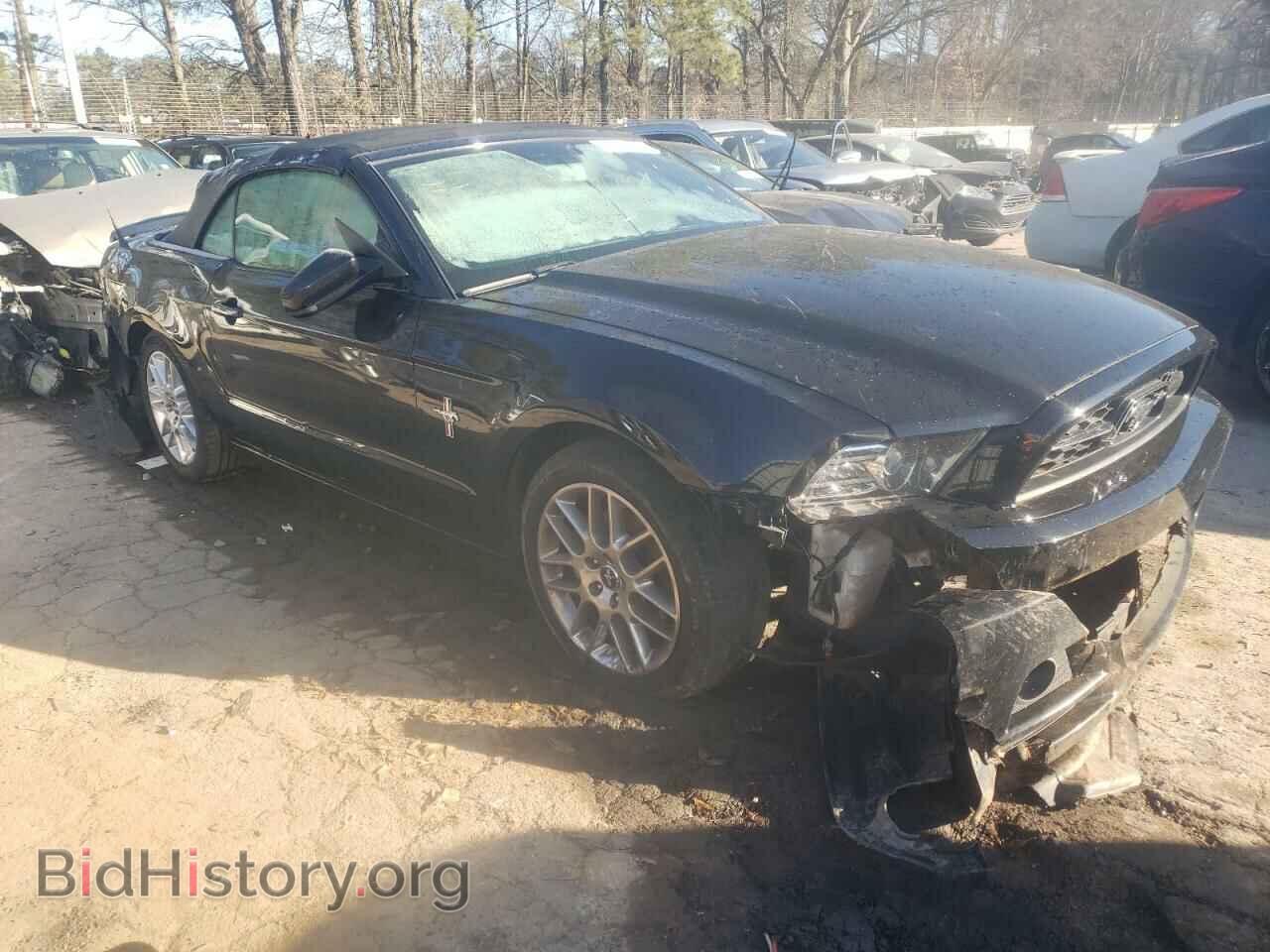 Фотография 1ZVBP8EM6D5261105 - FORD MUSTANG 2013
