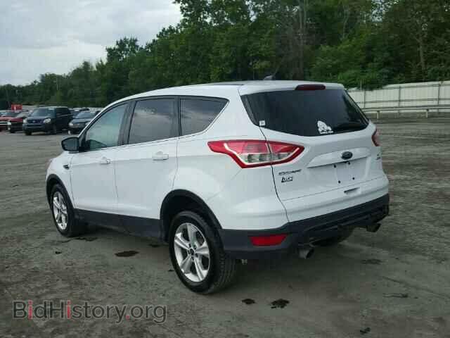 2014 FORD ESCAPE - VIN: 1FMCU9GX4EUA52011 - Фото 3