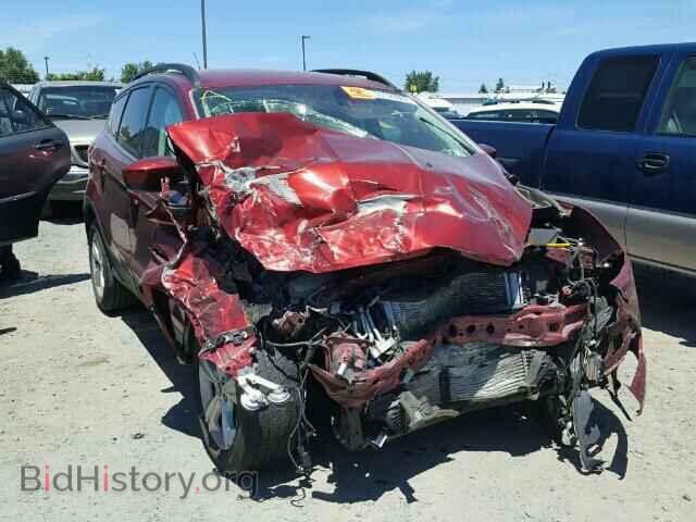Фотография 1FMCU9GXXEUB46863 - FORD ESCAPE 2014