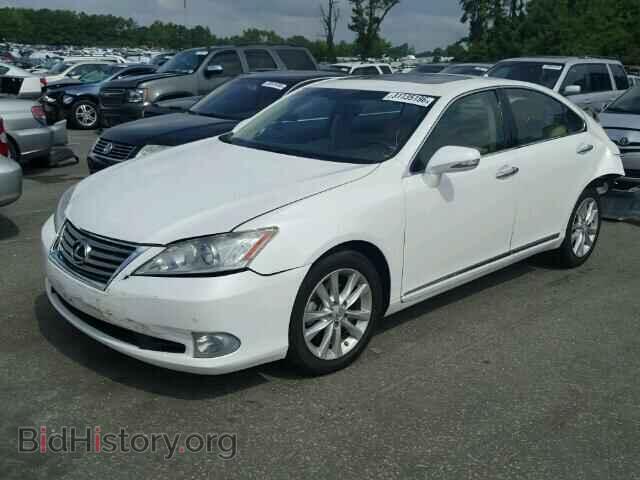 2010 LEXUS ES350 - VIN: JTHBK1EG8A2401590 - Фото 2