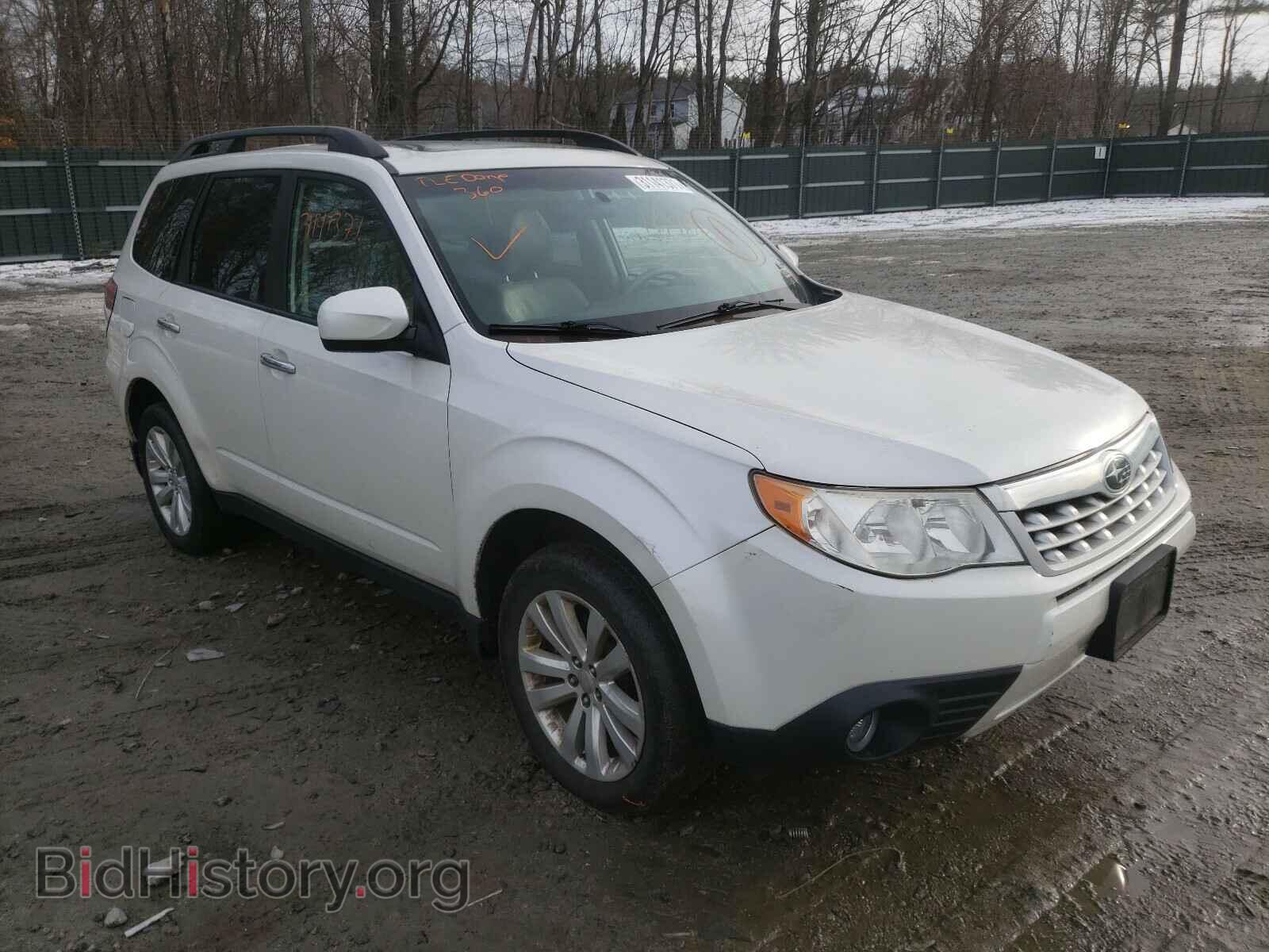 Photo JF2SHAEC5BH754463 - SUBARU FORESTER 2011