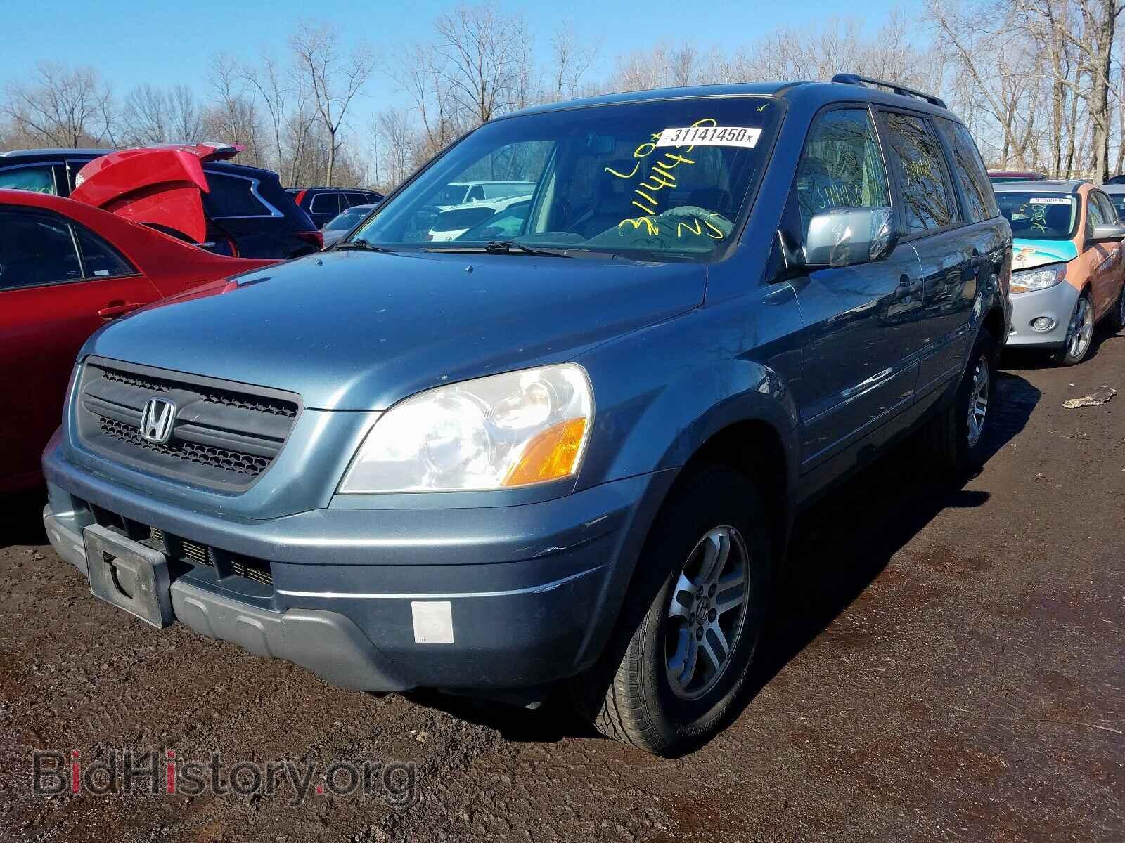 2005 HONDA PILOT - VIN: 5FNYF18655B033200 - Фото 2