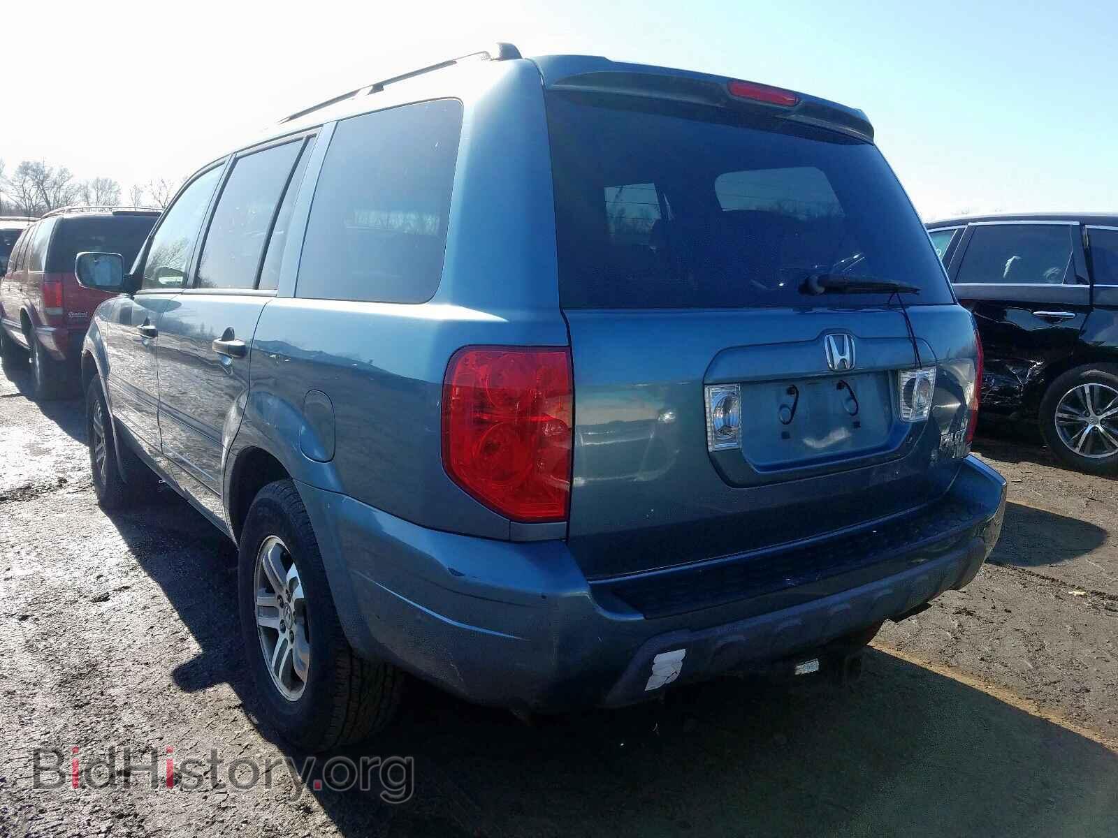 2005 HONDA PILOT - VIN: 5FNYF18655B033200 - Фото 3