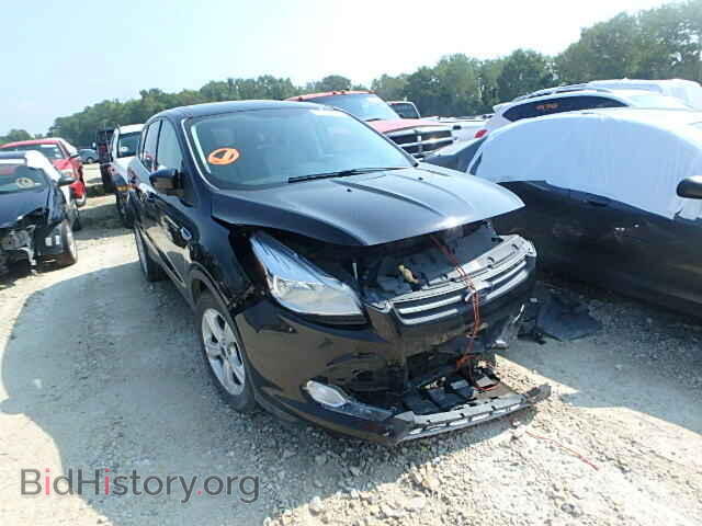 Фотография 1FMCU0G99DUB38555 - FORD ESCAPE 2013