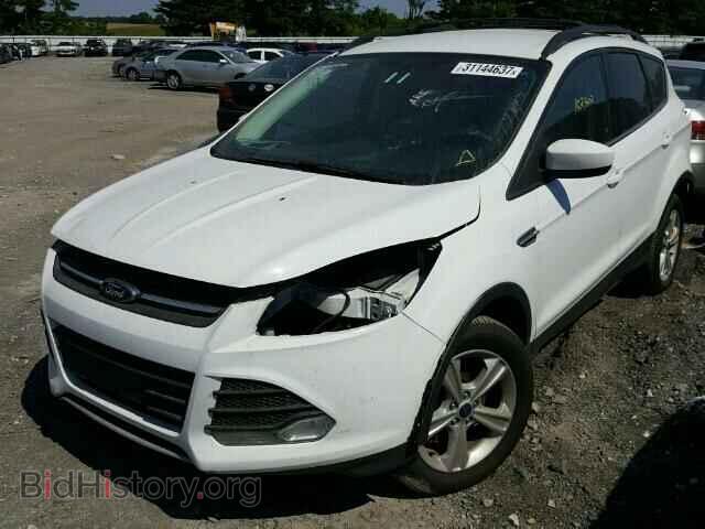 2013 FORD ESCAPE - VIN: 1FMCU0G90DUA21754 - Фото 2