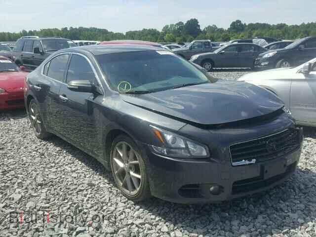 Фотография 1N4AA5AP1BC817317 - NISSAN MAXIMA 2011