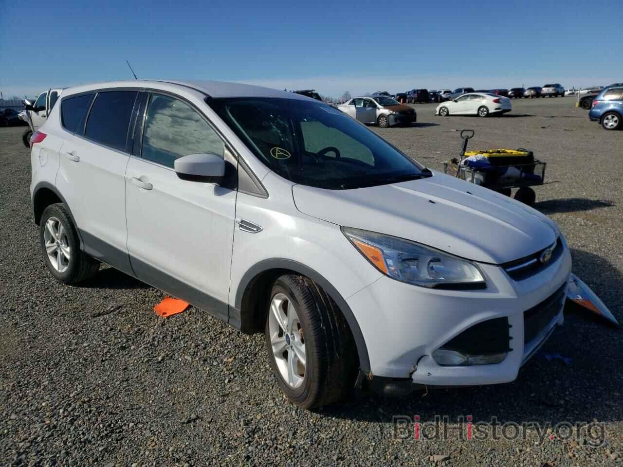 Photo 1FMCU0GX5EUE41459 - FORD ESCAPE 2014