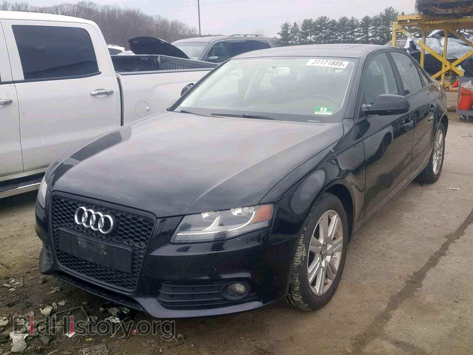 2010 AUDI A4 - VIN: WAUBFAFL8AN037829 - Фото 2