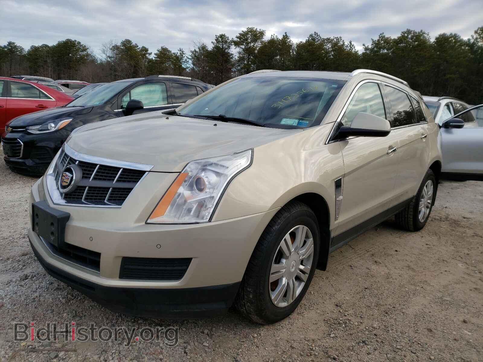 2012 CADILLAC SRX - VIN: 3GYFNDE3XCS578300 - Фото 2