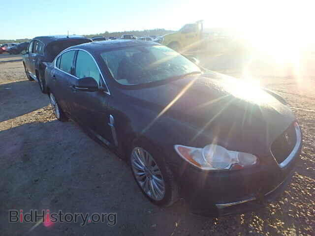 Photo SAJWA0FB6BLS20505 - JAGUAR XF 2011
