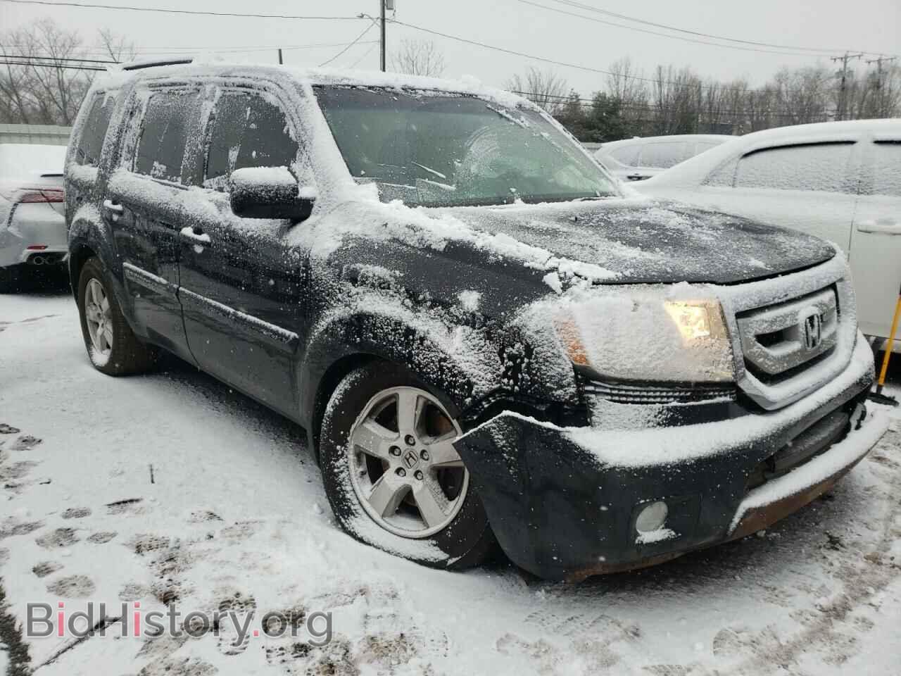 Photo 5FNYF4H73BB098293 - HONDA PILOT 2011