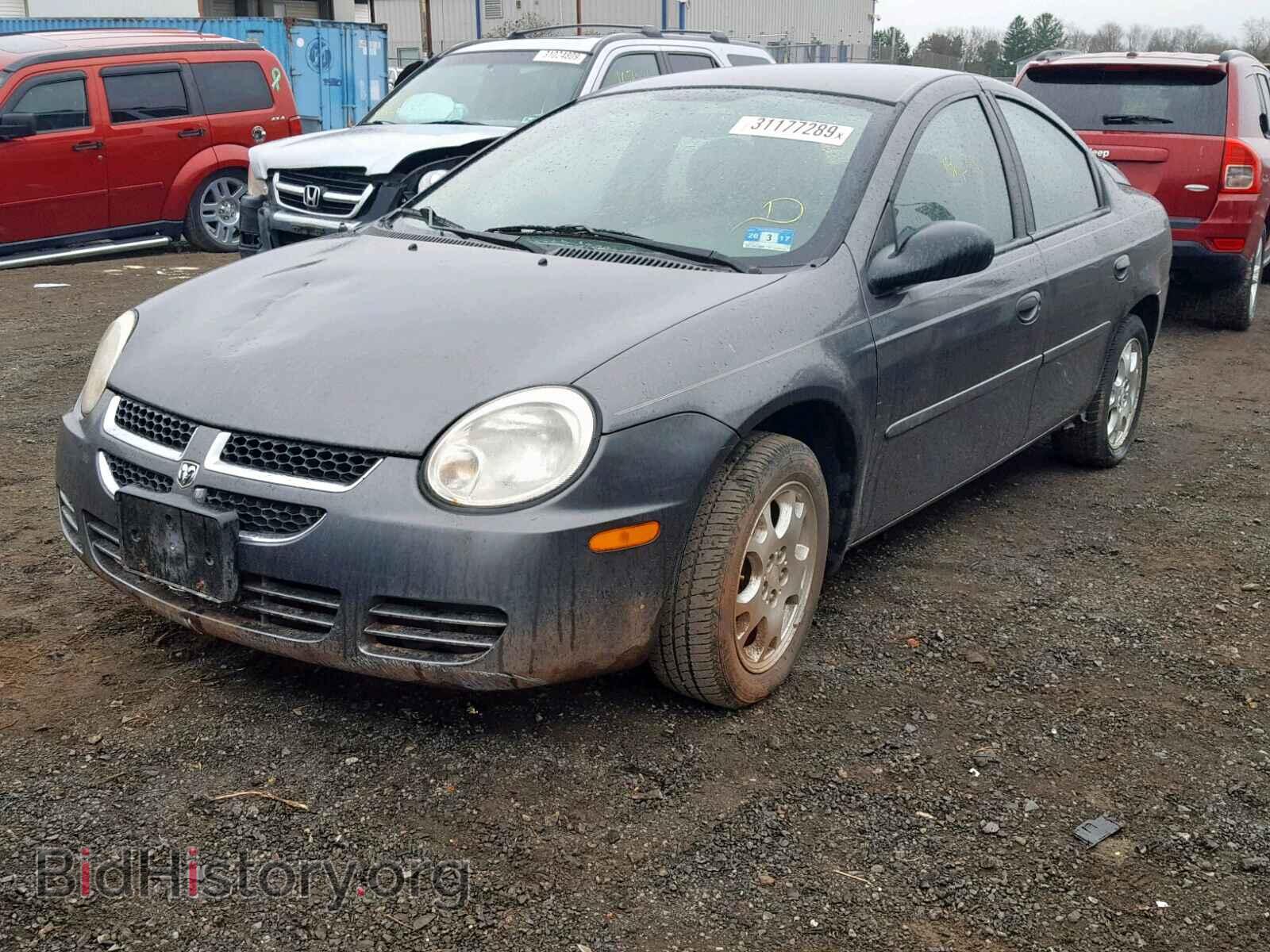 2004 DODGE NEON - VIN: 1B3ES56C94D517036 - Фото 2
