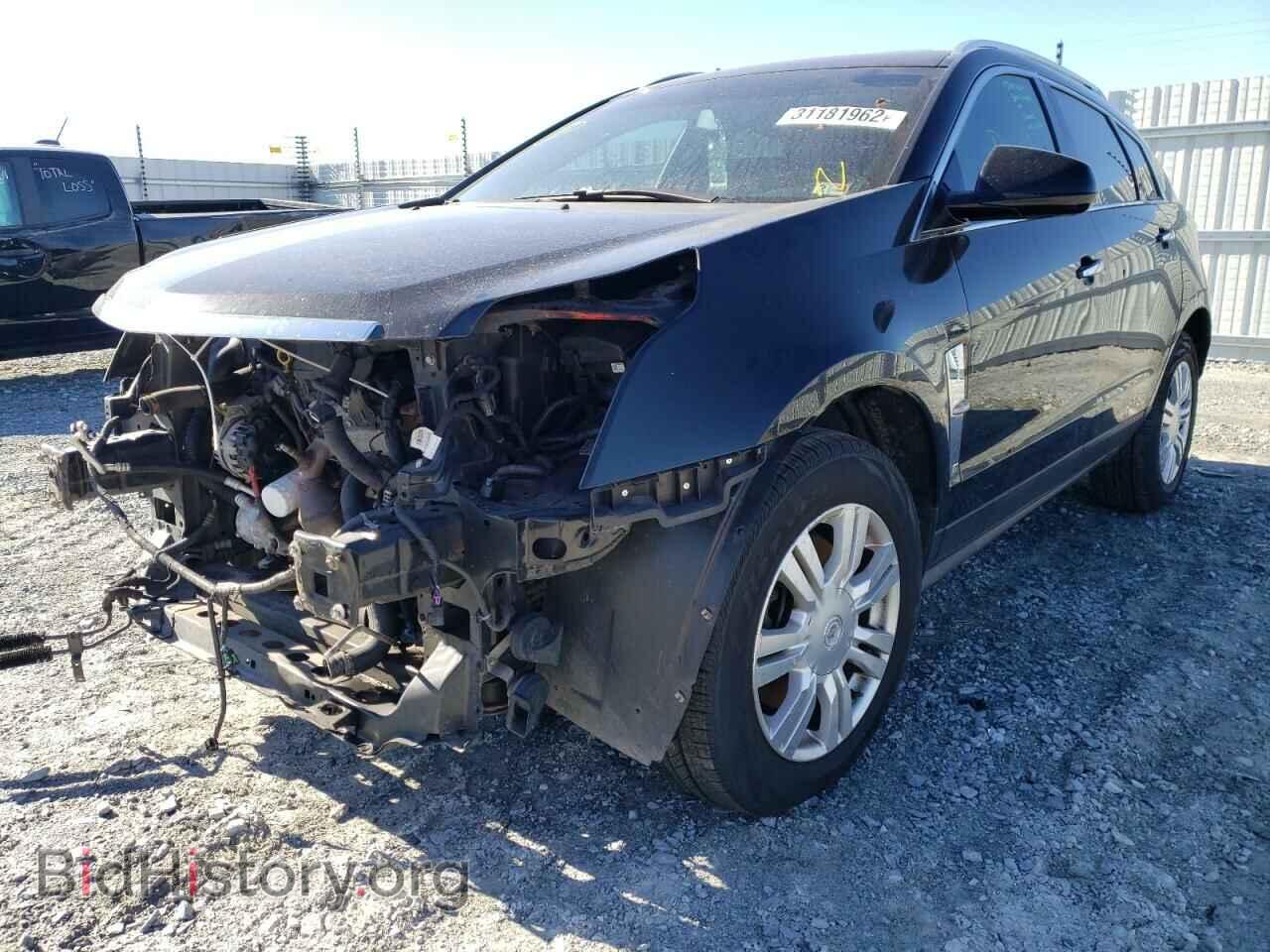 2011 CADILLAC SRX - VIN: 3GYFNDEY1BS663438 - Фото 2