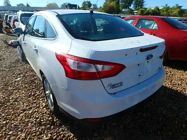 2014 FORD FOCUS - VIN: 1FADP3F27EL390517 - Фото 3