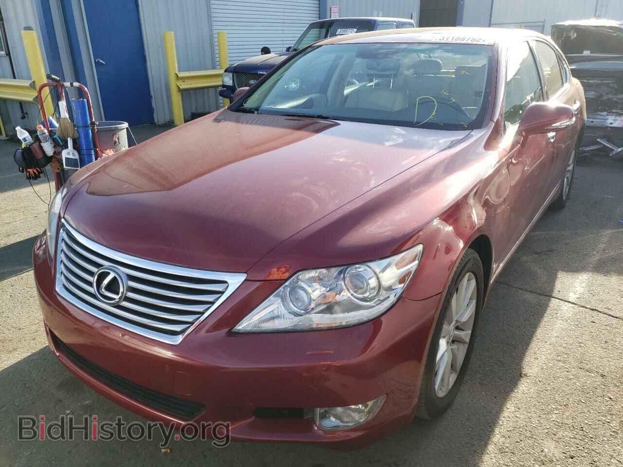 2011 LEXUS LS460 - VIN: JTHBL5EF8B5108073 - Photo 2