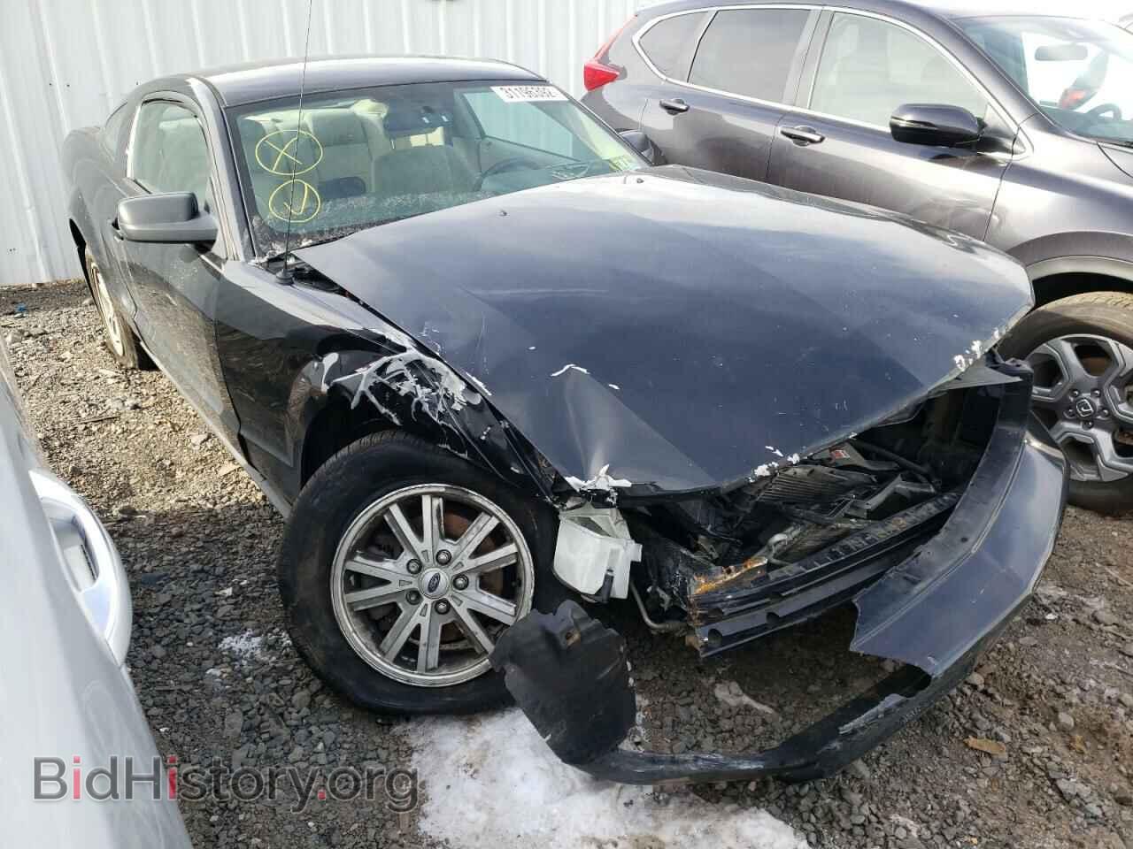 Photo 1ZVFT80N265205193 - FORD MUSTANG 2006