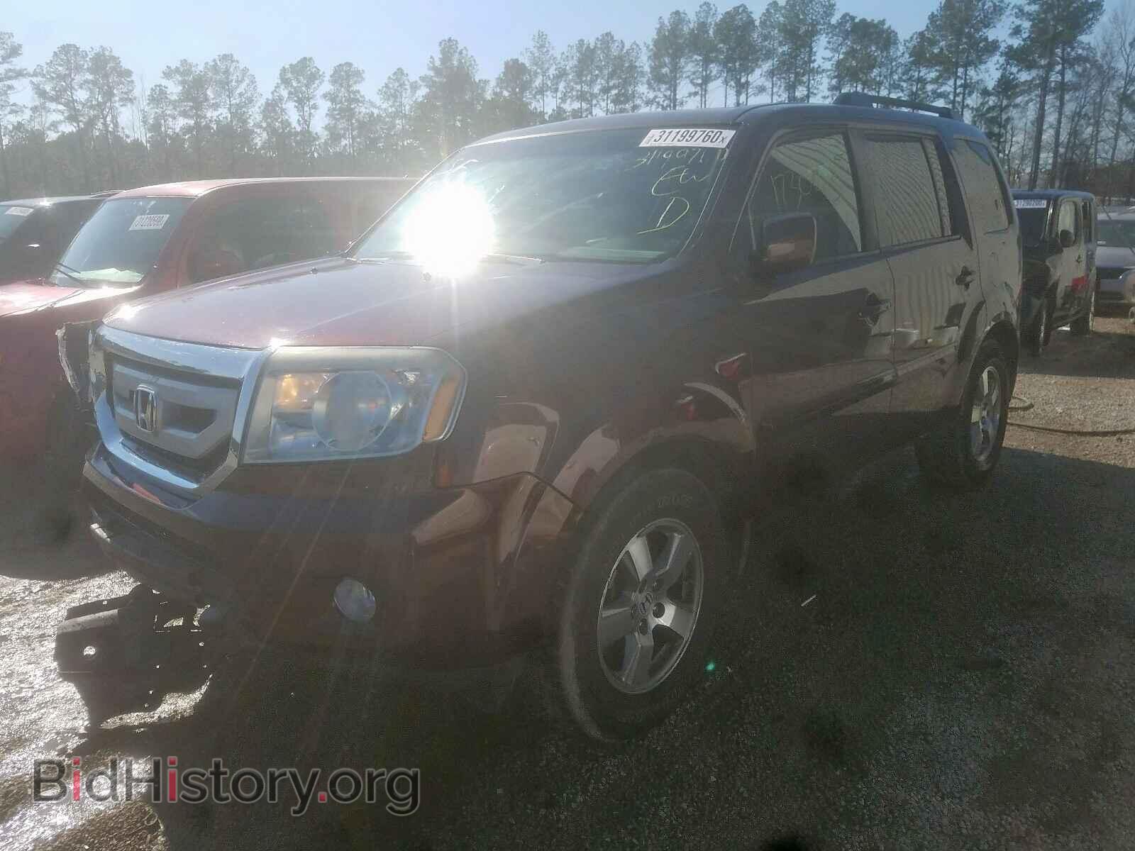 2010 HONDA PILOT - VIN: 5FNYF4H64AB029084 - Фото 2