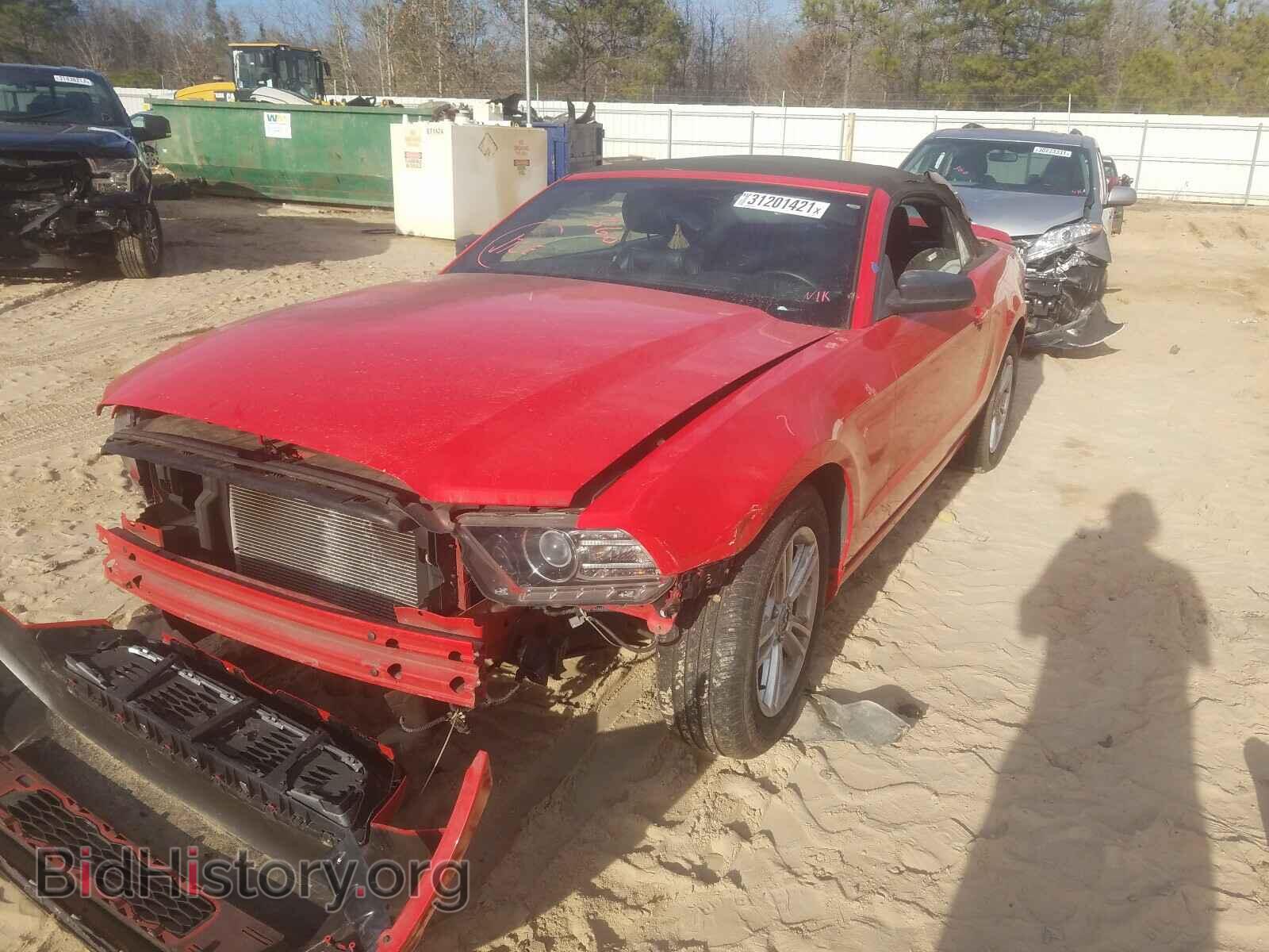 2013 FORD MUSTANG - VIN: 1ZVBP8EM8D5222032 - Фото 2